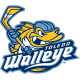 Toledo Walleye